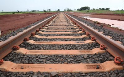 Com a Ferrogrão, Amazônia pode perder 2 mil km² de floresta nativa