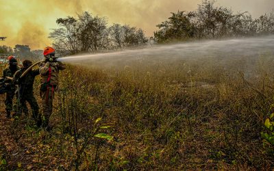 Com chuvas abaixo da média, incêndios no Pantanal podem ser piores que em 2020, diz deputada