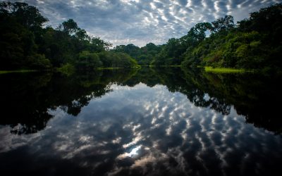 MPF e MP pedem fechamento de pousada clandestina que funciona em terra indígena no Pará