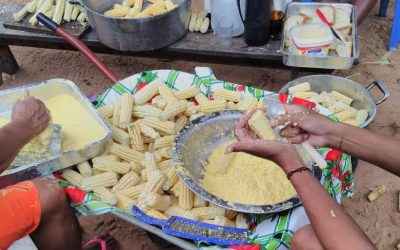 Projeto liderado por mulheres ajuda comunidades a reconstruírem o que o fogo destruiu Pantanal