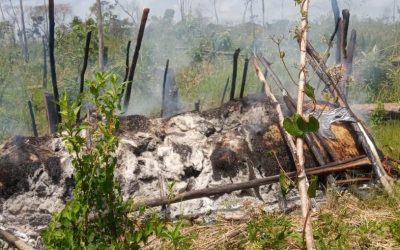 Incêndio criminoso destrói toda colheita de arroz de pequenos produtores no Maranhão