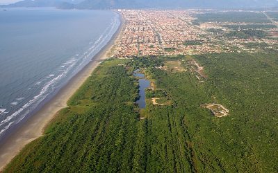 Mata Atlântica: Baixa cobertura vegetal pode afetar abastecimento de água nas grandes cidades