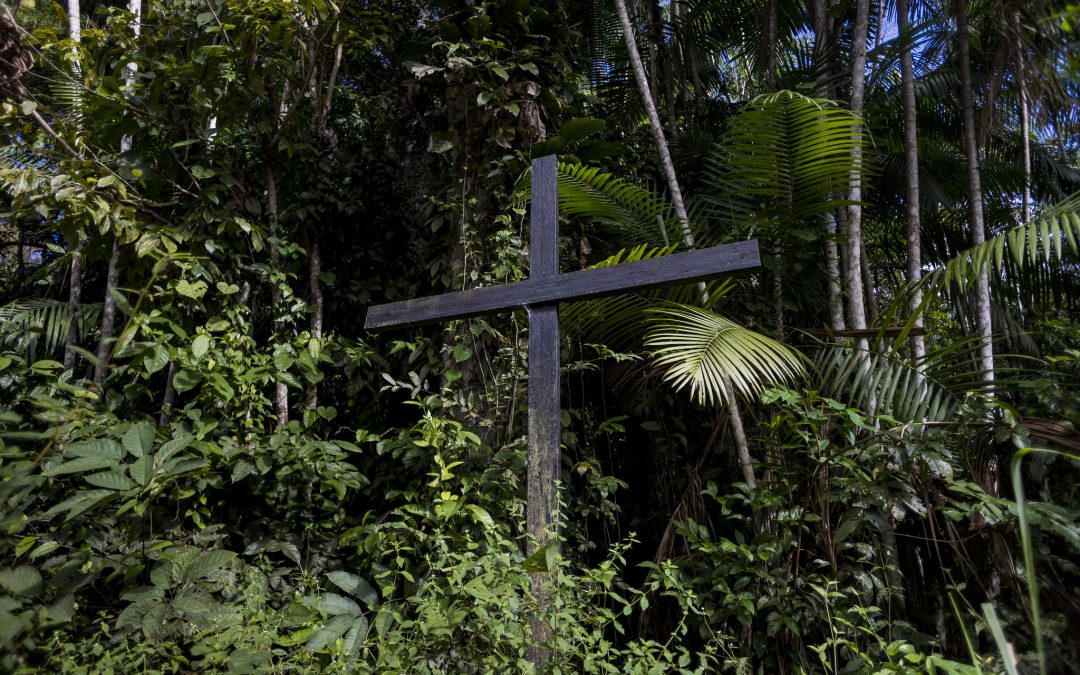 Massacres no Campo voltam a crescer durante atual crise da democracia no Brasil