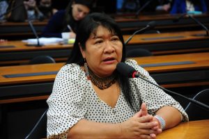 Câmara cria grupo de trabalho para acompanhar situação de povos Yanomami