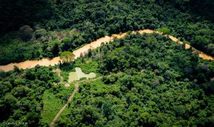 Nova rota do crime: invasores abrem estrada de 150 km dentro da TI Yanomami